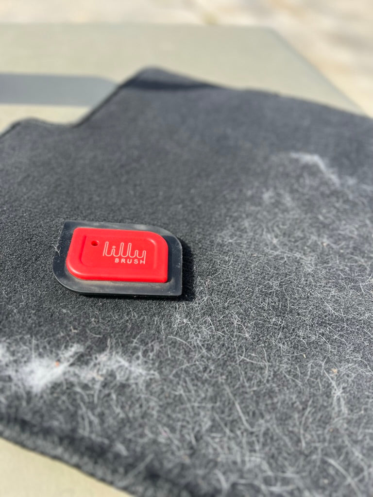 Lilly Brush lifting pet hair from a car floor mat