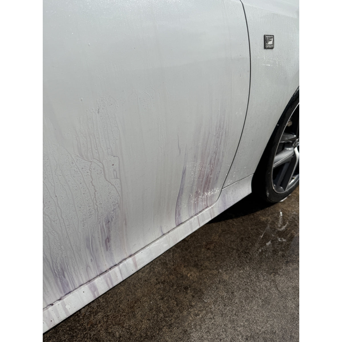 Smooth Move - Paint Decontaminator