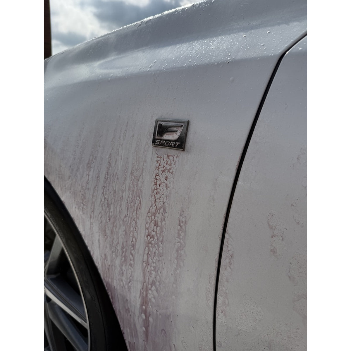 Smooth Move - Paint Decontaminator